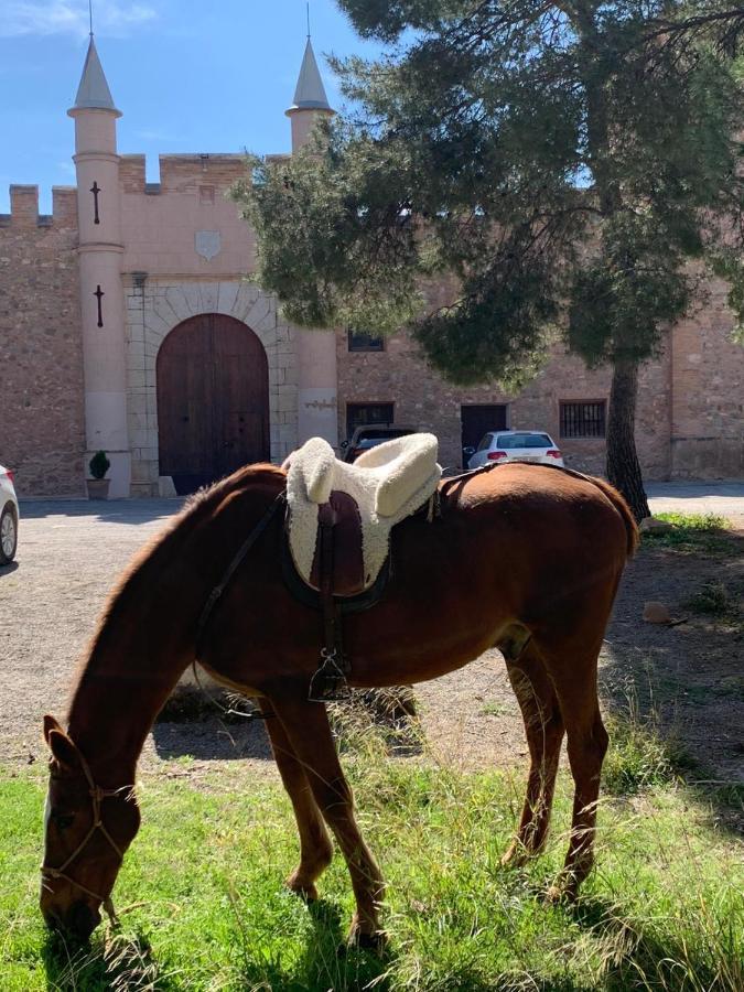 Castillo Con Piscina En Plena Sierra Calderona Segorbe Kültér fotó